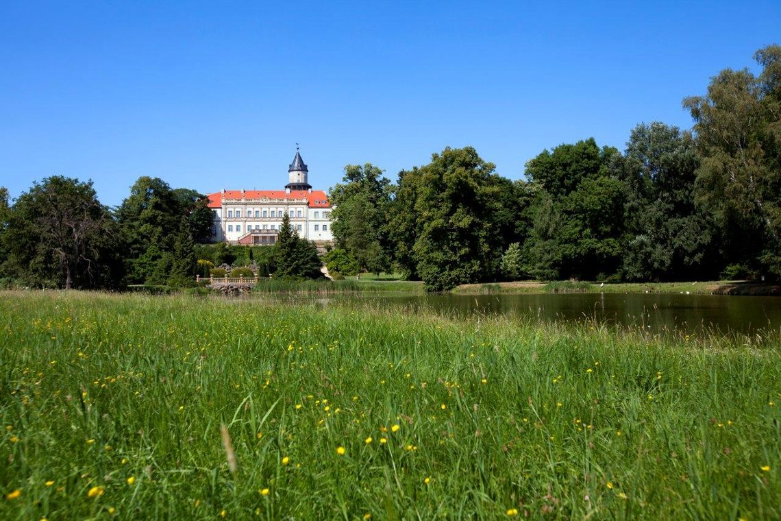 Blick vom Schlosspark über den Schlossteich auf das Schloss Wiesenburg